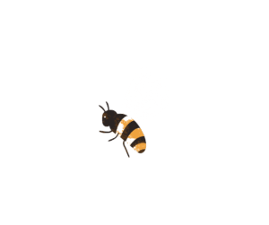 bee icon